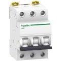 Schneider A9K24363 | iK60N 3P 63 A C‑Tipi Otomatik Sigorta