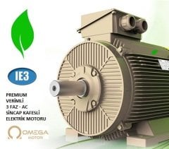 3MGS 225M4 / 45 kW 1500 rpm B35 IE3 Pik Gövde Omega Motor - 3M0SG3E-22MA40CT0