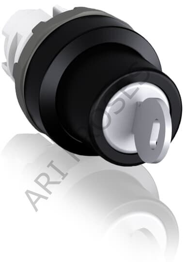 ABB M2SSK1-101  1SFA611280R1001
