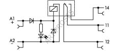 Wago Slim Röle 857-304 Röle Modülü 24V DC 1 Açık/Kapalı (1PDT) (Yaprak Röle)