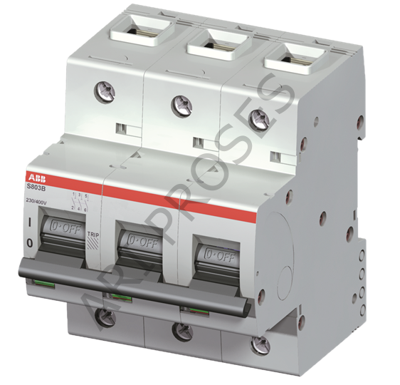 ABB S803B-C 100  2CCS813001R0824